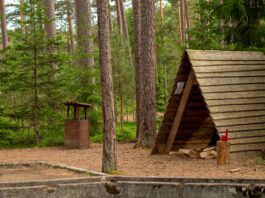 Summer Camp After Texas Floods: A Mother's Fear