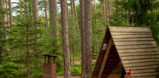Summer Camp After Texas Floods: A Mother's Fear